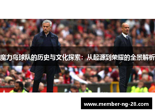 魔力鸟球队的历史与文化探索：从起源到荣耀的全景解析