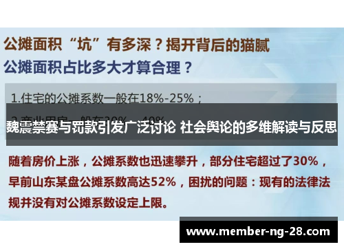 魏震禁赛与罚款引发广泛讨论 社会舆论的多维解读与反思