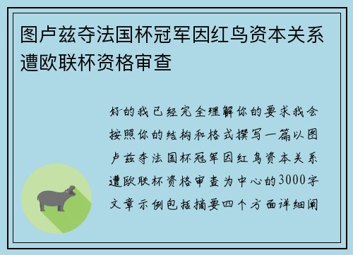 图卢兹夺法国杯冠军因红鸟资本关系遭欧联杯资格审查 图卢兹夺法国杯冠军因红鸟资本关系遭欧联杯资格审查